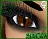 )S( Cat Eyes v9