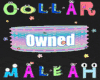 Owned | Pastel