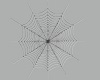 Spiderweb filter