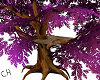 ch)giant tree purple