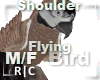 R|C Bird Coffee M/F