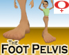 Foot Pelvis -Womens