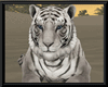 Tiger Animated