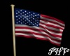 PHV American Flag