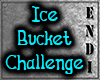 Ice Bucket Part.2