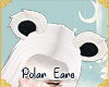 !A | Polar Ears