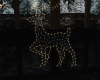 🆂Christmas Deer