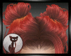 ariel Fire