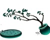 Dk teal tree plant