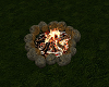 (S)Mystic Pond Campfire