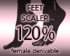 Foot Feet Shoe Size 120%