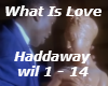 What Is Love-Haddaway