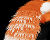 Light orange Fox tail