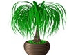 Jungle Tree Planter