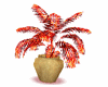 Plant Red - SP