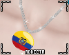 *A* Ecuadorian Necklace