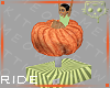 Pumpkin Ride 1a Ⓚ