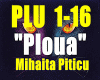 Ploua-Mihaita Piticu.