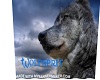 wolf spirt family banner