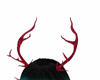 dan yu horns