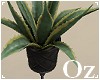 [Oz] - Plant pot B