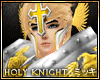 ! Holy Knight Armour Top