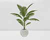 Plant | V3