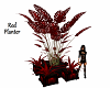 Red Palm Planter