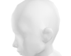 110 Head scaler