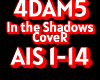 In the Shadows Cover