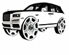 ANIMATED ADD ON RIMS