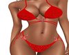 Bikini Rojo Red Bikini