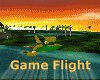 [my]Airplane Game Flight