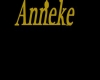 anneke necklace gold