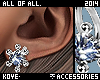 Silver+Diamond Earrings