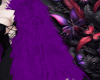 NR/ Fur Coat Purple
