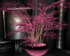 Pink/Black Plant Decor