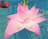 lotus budhist 3d