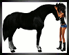 Horse Love ~ Black V2