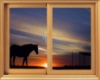CC-Sunset Horse Window