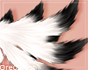 9 Tails W/B