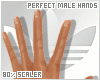 -A- Perfect Male Hands