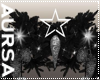 (1A)Window Garland