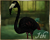 -I- Flamingo Jerry