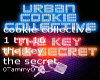 urban cookie - the key