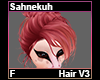 Sahnekuh Hair F V3
