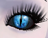 Blue Fire Demon Eyes (F)
