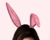 🪶 Pink Bunny Ears