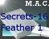 (MAC)Secrets-16-Feather1