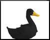 ∘ Black Duck